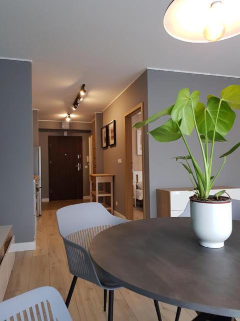 Apartament Triventi 88 Z Widokiem Na Sniezke - 5D Apartamenty Karpacz Extérieur photo